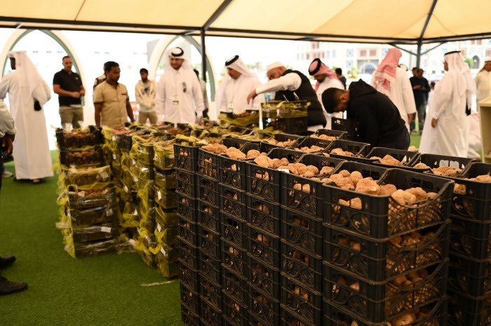  قطر.. بيع 70 طناً من الفقع في معرض ومزاد سوق واقف